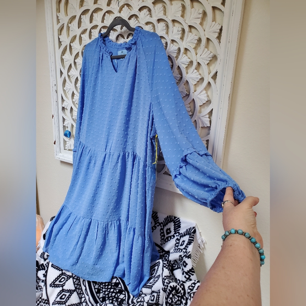 Women’s Textured Swiss Dot Tiered Dress in Periwinkle Blue - Picture 3 of 12